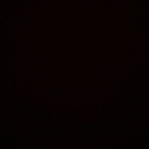 Meet your Posher, Daisy